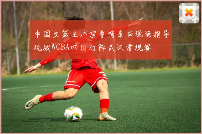 中国女篮主帅宫鲁鸣亲临现场指导观战WCBA四川对阵武汉常规赛
