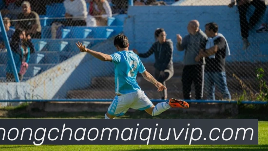 中超买球平台生态图