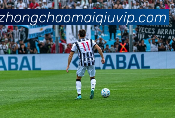 中超买球APP 封面图